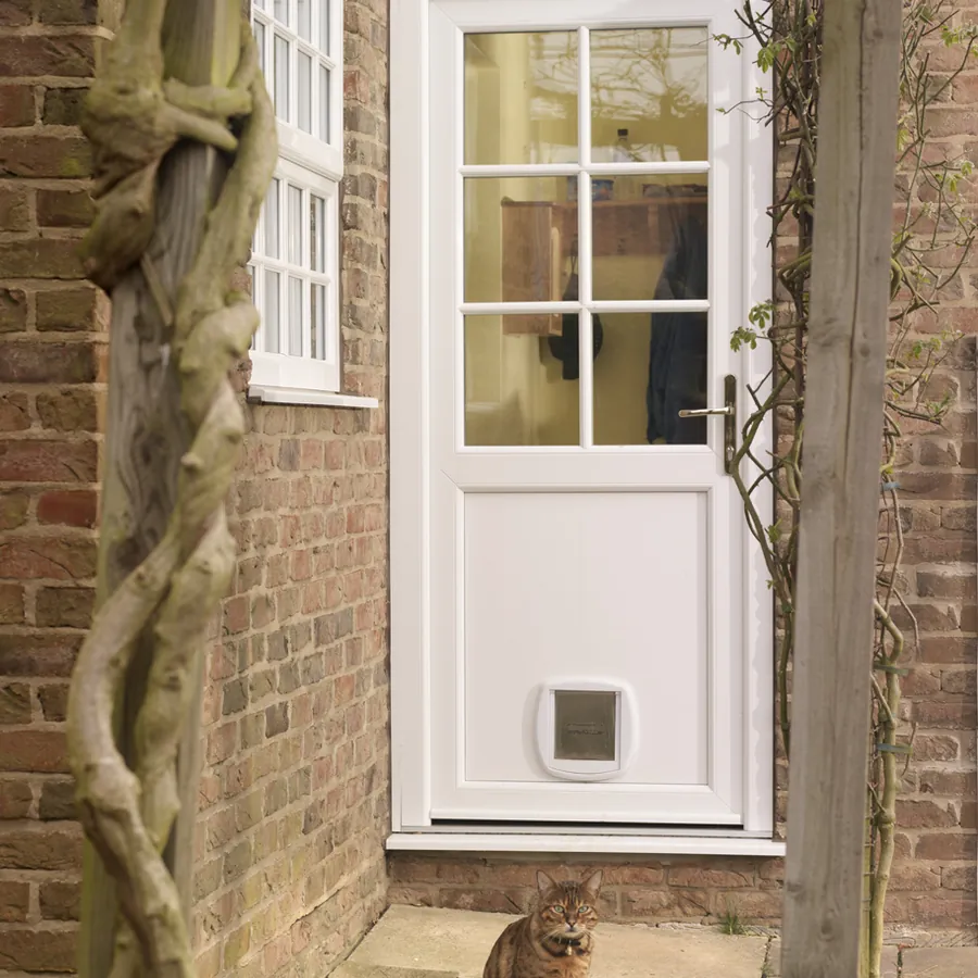 Composite Bloomsbury