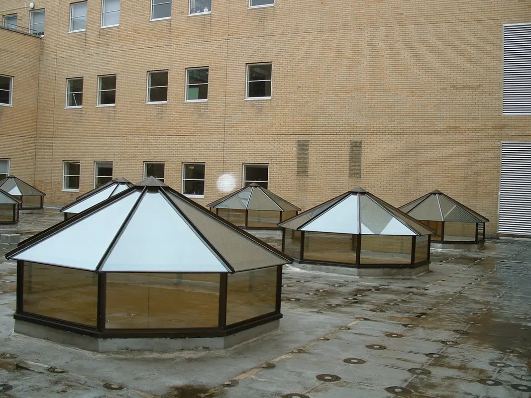 Flat Roof Skylights Bloomsbury